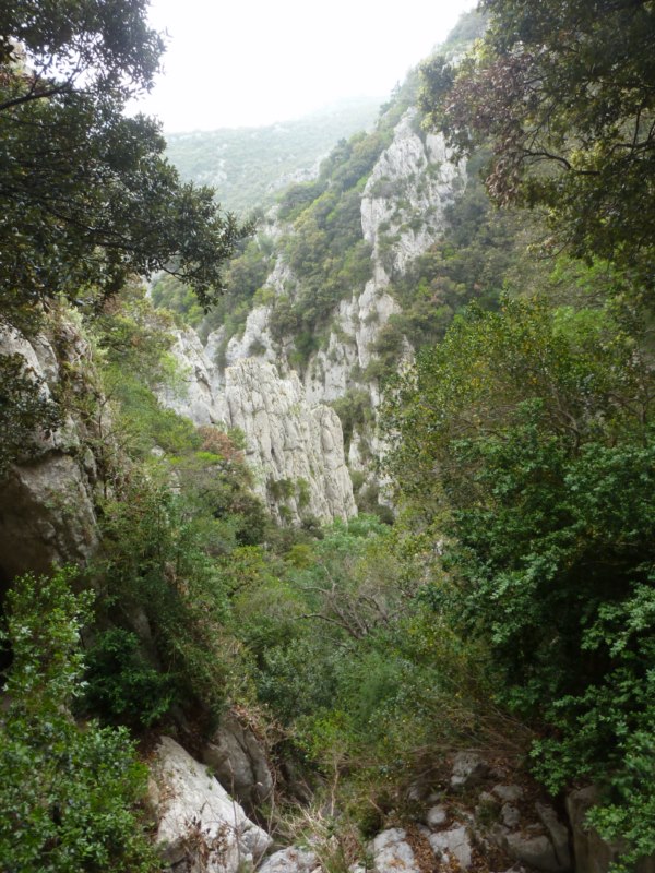 071 Gorges de Galamus 15 05 15 [800x600]